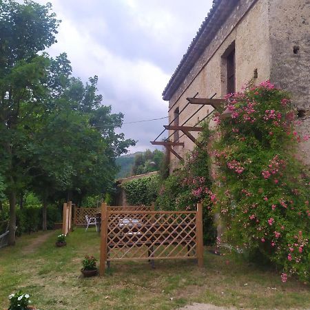 Agriturismo Colloreto Морано Калабро Екстериор снимка