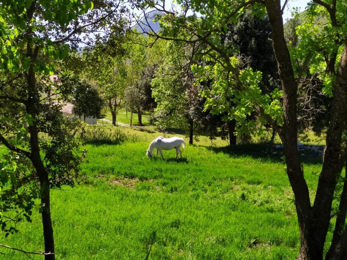 Agriturismo Colloreto Морано Калабро Екстериор снимка