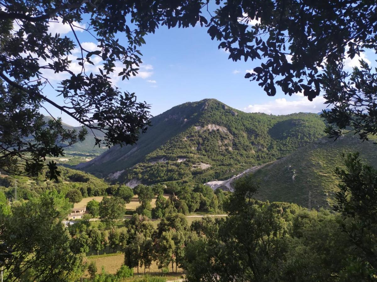 Agriturismo Colloreto Морано Калабро Екстериор снимка